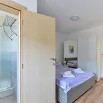 Apartman Medved *
